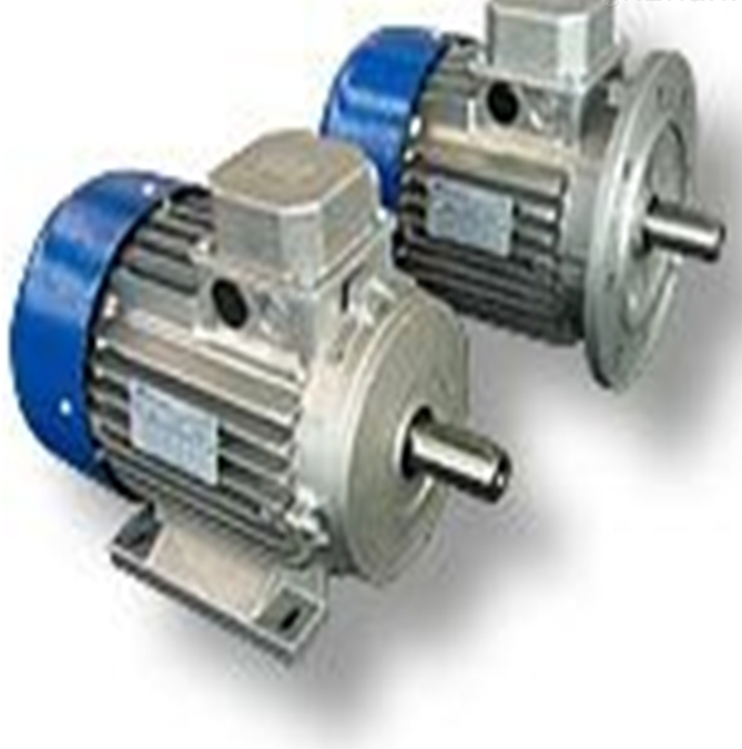 意大利M.T.MOTORI電機(jī)