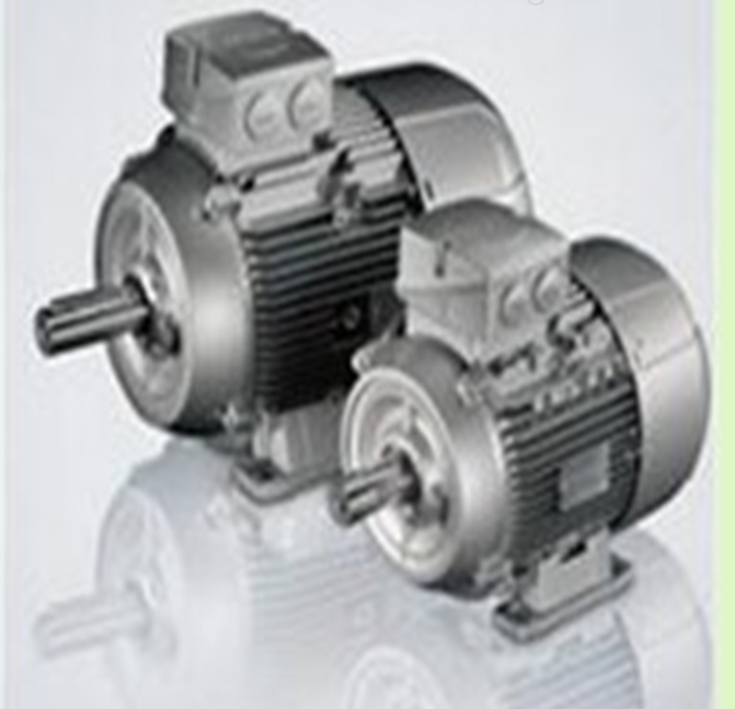 法國(guó)LAMMERS電機(jī)