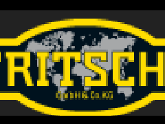 德國(guó)Fritsche控制器